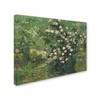 Trademark Fine Art Van Gogh 'Roses' Canvas Art, 24x32 AA00912-C2432GG